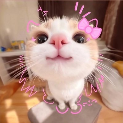 meodethuong52's profile picture