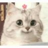 Profilbild von Byul