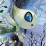 Profilbild von Faen