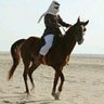 راكــــــسن profil fotoğrafı