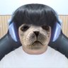 Grid's profile picture
