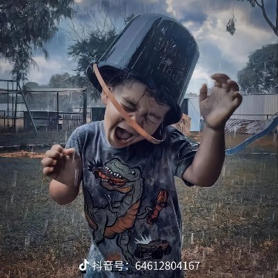 guilingshengmu2's profile picture