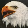 Phoebe’s Artbox's profile picture