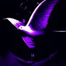القيصر بلاك's profile picture