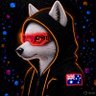 0xHyp3rWolf profil fotoğrafı