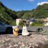しゅーた profil fotoğrafı