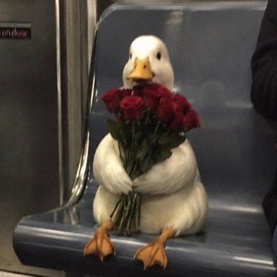 knampingk's profile picture