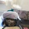 علي's profile picture