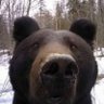 Profilbild von Jill Williams