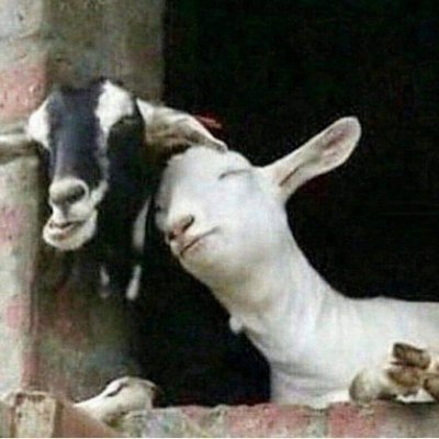 Gg5k0kHD2MnQBi5's profile picture