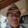 PAULO CALIXTO PEDRO's profile picture