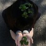 Фото профиля 山梨の音旅人公務員