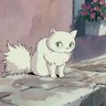 Profilbild von 北岡 颯斗