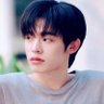 pss🐻❄️ྀིྀི🧁's profile picture