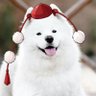 Fuu's profile picture