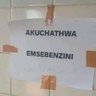 Shendeledikazi's profile picture