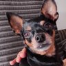 Profilbild von Marly Vilete