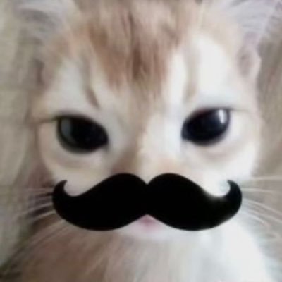 Ooo's profile picture