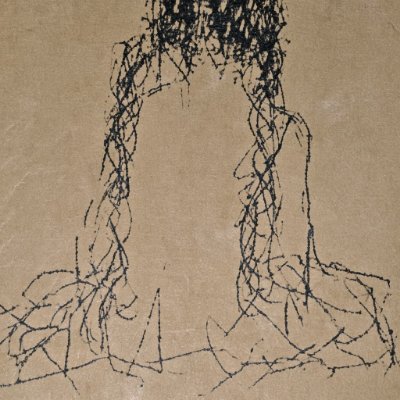 parafactual's profile picture