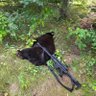 lovetohunt 的头像
