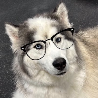 🍉nimbus's profile picture