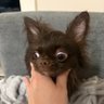 плєцок's profile picture