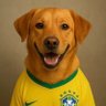 CÃOPANHEIRO LULA profil fotoğrafı
