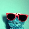 Profilbild von Emine 🦉