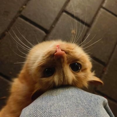 No one's profile picture