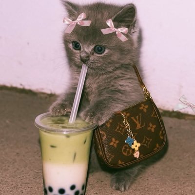 IG: Iamdrinaa 💗's profile picture