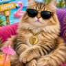 badlife profil fotoğrafı
