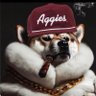 A&M owns your poverty program's profile picture