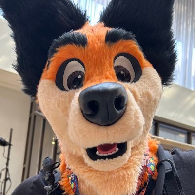 Togo Wolf's profile picture