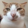 Profilbild von ⭐️