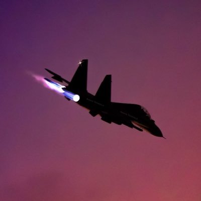 Flanker30MKI's profile picture