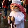 Profilbild von ArabPixel