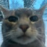 vyr ✩ ffxiv livetweeting / Dawntrail 的头像