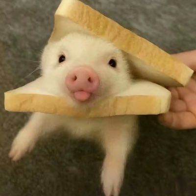 ㅇㅅㅇ's profile picture