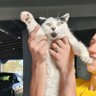 Adam, O Próprio profil fotoğrafı