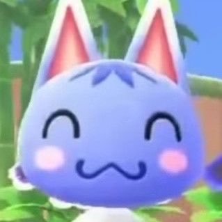 ✦ six's profile picture