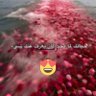R_na / رنـــــــــا profil fotoğrafı