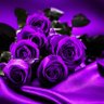 نجــــــــــــــــوى 💜𐙚⋆°🦢。⋆♡'s profile picture