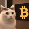 shinemap 的头像