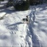 cmontagne profil fotoğrafı