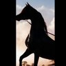 A… profil fotoğrafı
