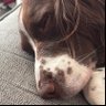 Profilbild von doug