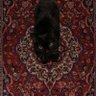 Фото профиля Lulu