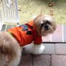 NickNacks's profile picture