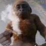 smokingkong profil fotoğrafı