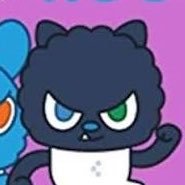 coco's profile picture